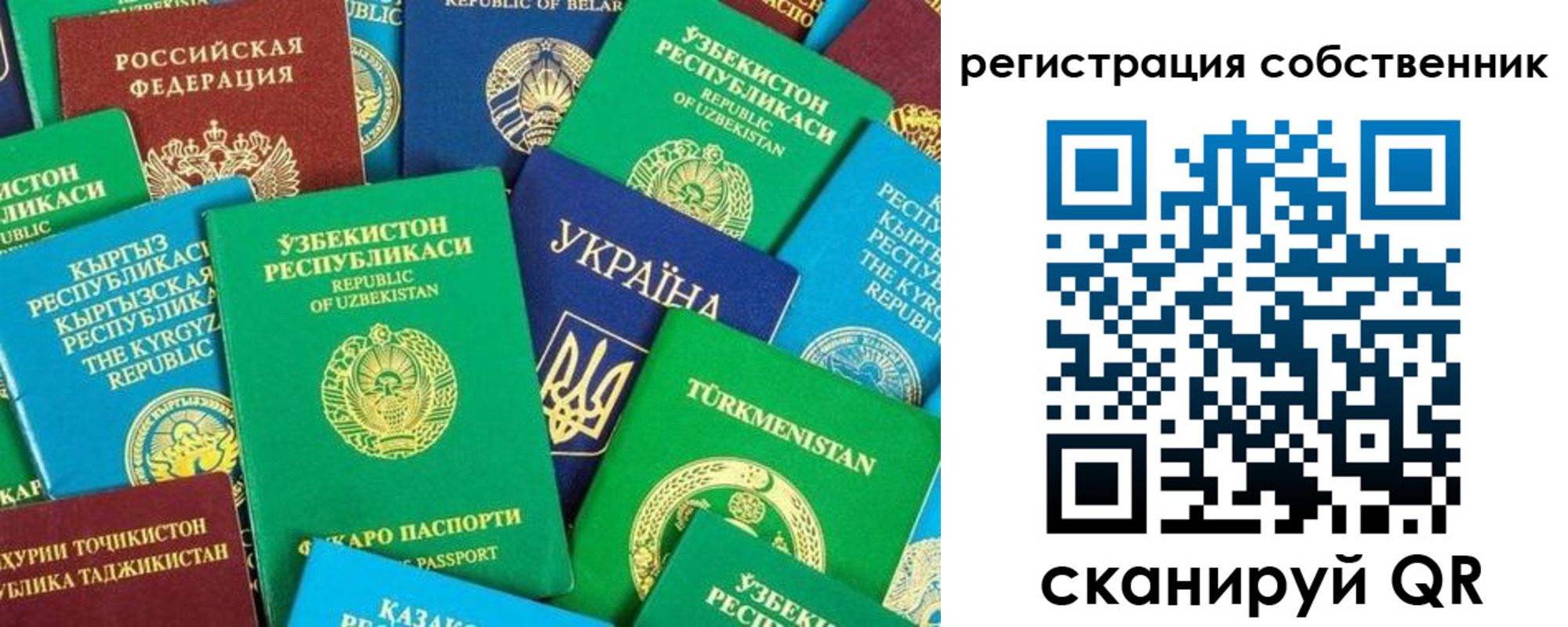 прописка в Камчатской области