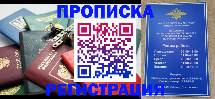 форма 3 в Камчатской области